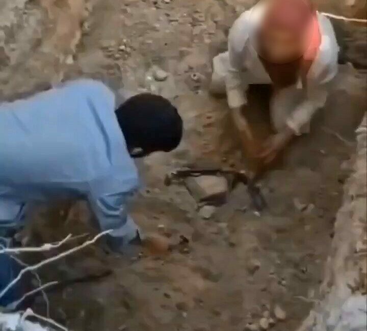 Bursa’da ölen köpekleri mezardan çıkarmaya çalıştılar Bursa’da bir grup, hastalıktan ölüp gömülen köpekleri mezarlarından çıkarmak istedi.