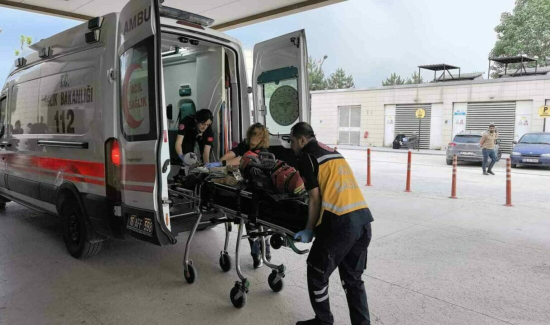 Bursa’nın İnegöl ilçesinde şehirlerarası otobüsün çarptığı yaşlı adam hayatını kaybetti.