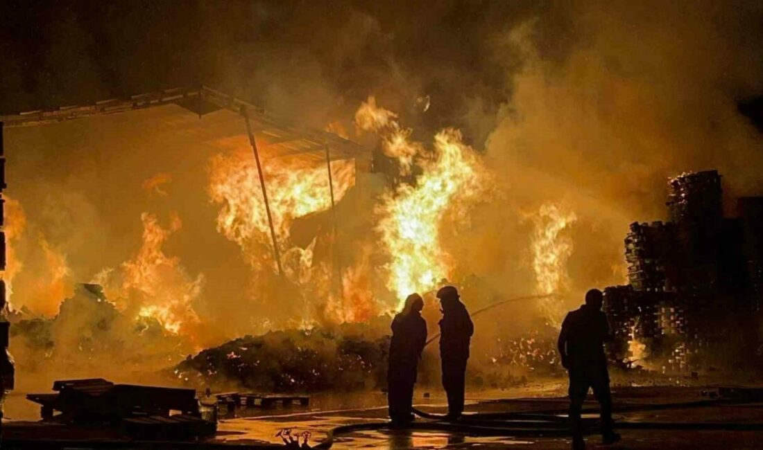 Bursa’nın Nilüfer ilçesinde faaliyet gösteren bir palet fabrikasında henüz bilinmeyen