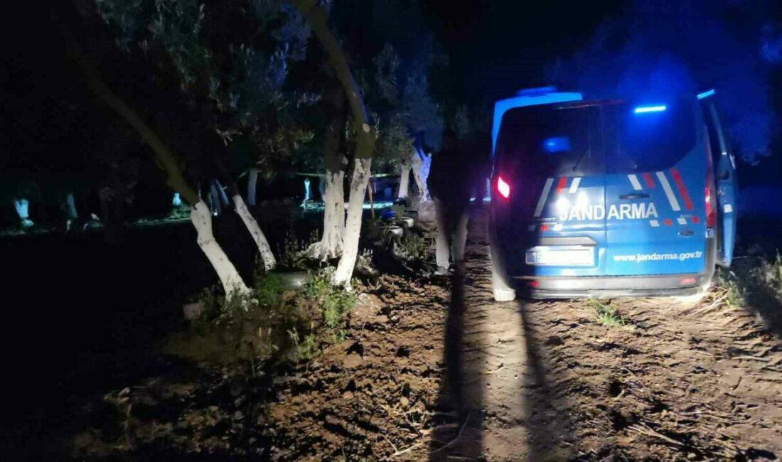 Bursa’nın Orhangazi ilçesinde çiftlik evinde balta ile öldürülmüş halde erkek