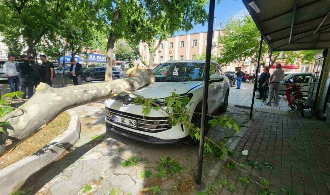 Çınar ağacının kopan dalı lüks araçta hasara yol açtı Bursa’nın Mustafakemalpaşa ilçesinde öğretmenevinin bahçesinde bulunan çınar ağacından kopan büyük