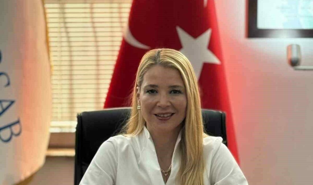 Demirtaş Organize Sanayi Bölgesi Sanayici ve İş İnsanları Derneği (DOSABSİAD)