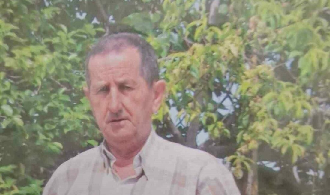 Bursa’nın İznik ilçesinde dün evden çıkan emekli öğretmen bir daha