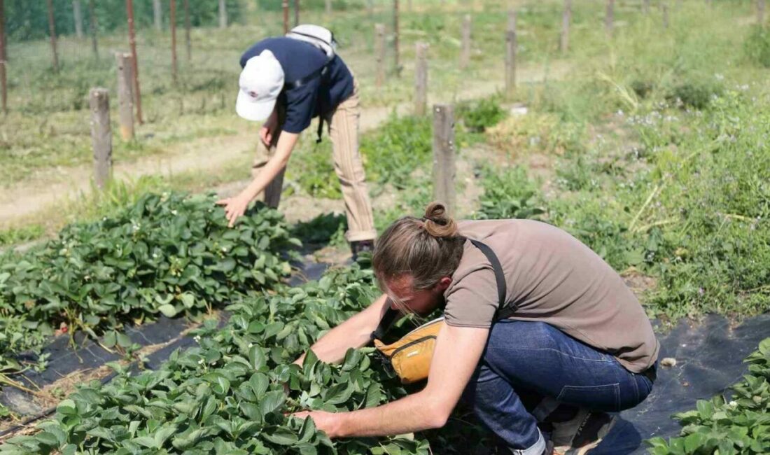 Nilüfer Belediyesi, Fransa’nın Marsilya kentinden gelen “La Cité de l’agriculture”