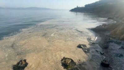Bursa’nın Gemlik Körfezi’nde her geçen gün artan müsilaj yoğunluğu, vatandaşları