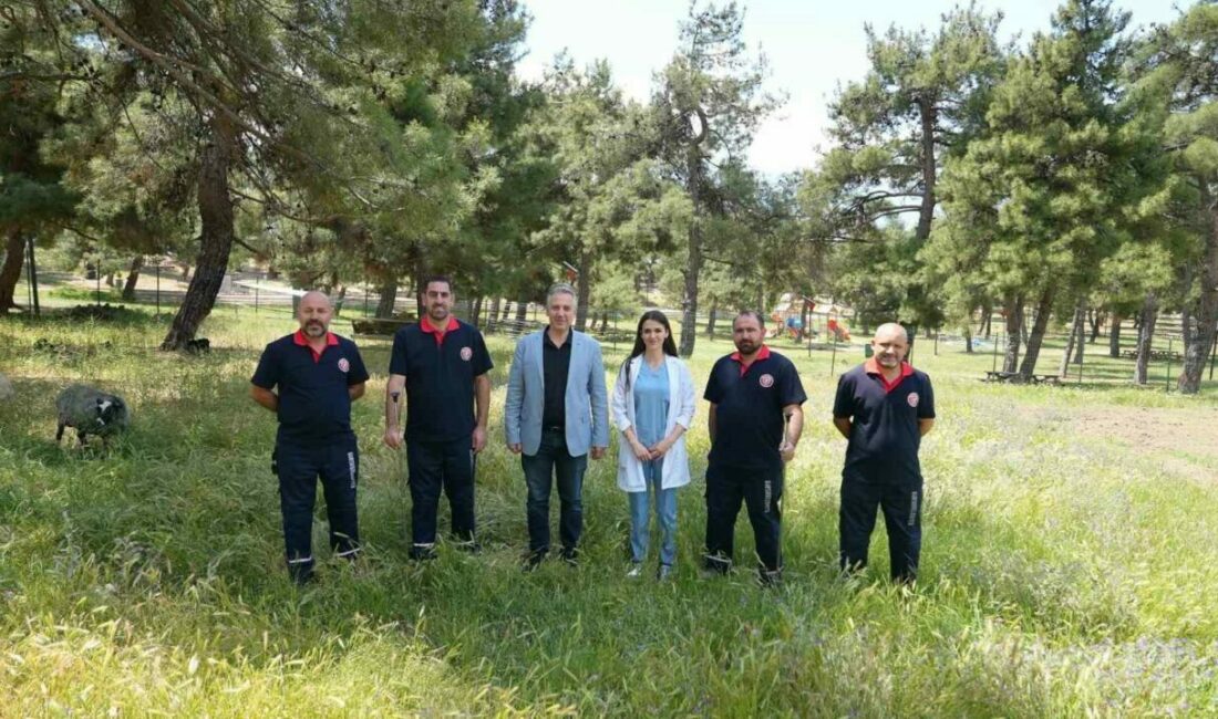 Gürsu Belediyesi Veteriner İşleri Müdürlüğü’ne bağlı kurban yakalama timi, bayram