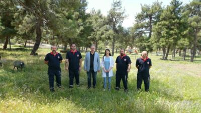 Gürsu Belediyesi Veteriner İşleri Müdürlüğü’ne bağlı kurban yakalama timi, bayram