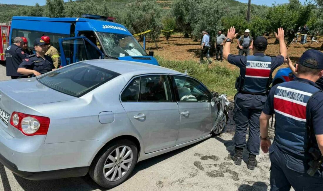 Bursa’nın İznik ilçesinde hatalı sollama yapan bir otomobil jandarma ekip