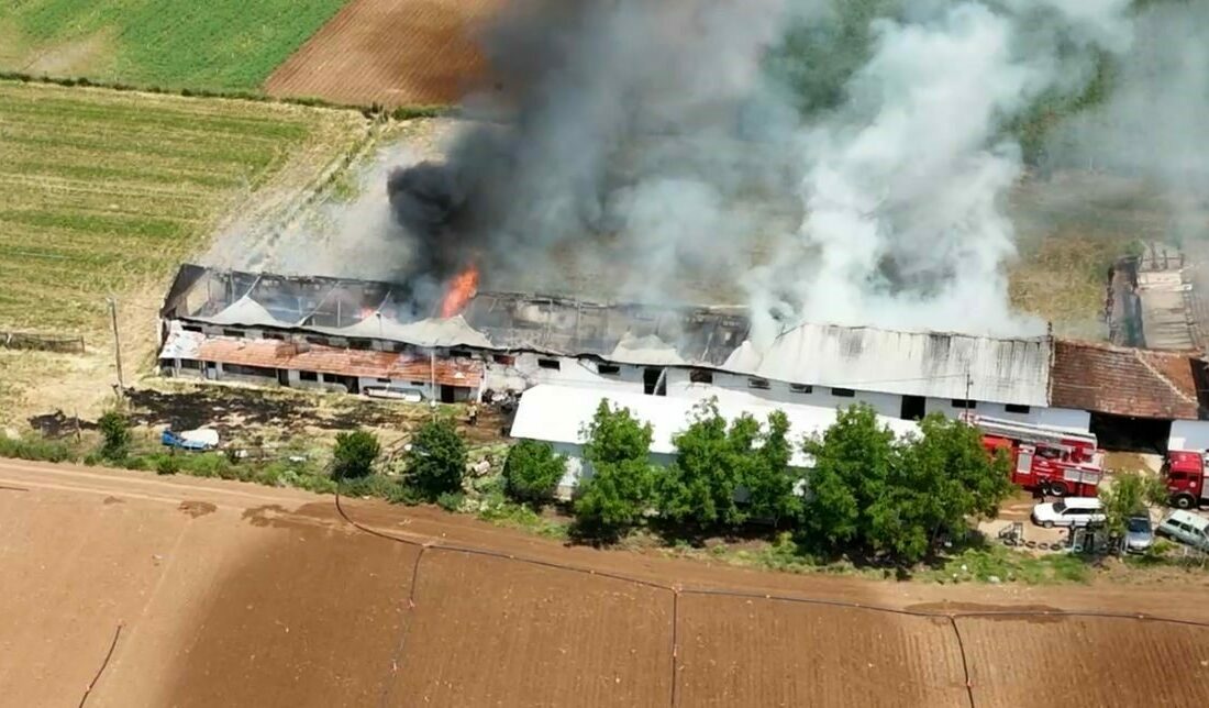 Bursa’nın Yenişehir ilçesinde bulunan canlı hayvan çiftliğindeki yangın havadan görüntülendi.