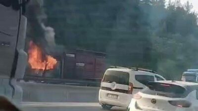 Bursa’nın Gemlik ilçesinde seyir halindeki canlı hayvan yüklü kamyon alevlere