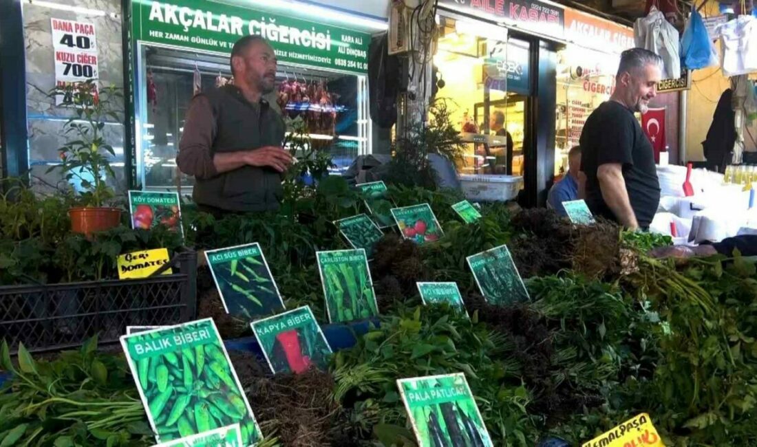 Baharın gelişiyle birlikte fide tezgahları hareketlendi. Vatandaşlar balkon ve bahçelerinde