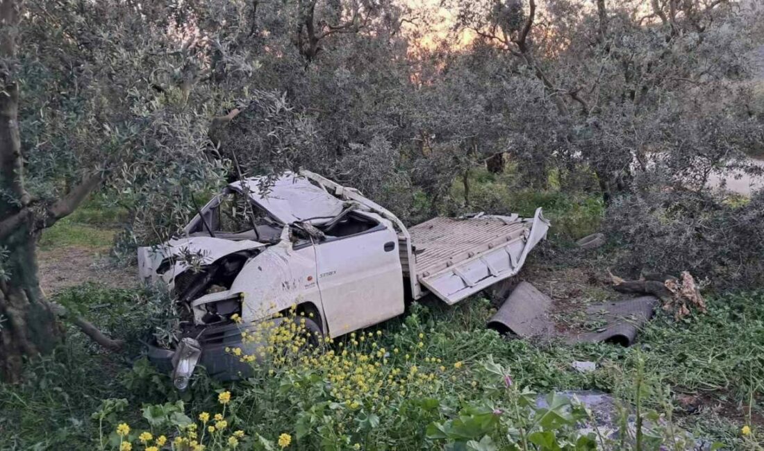 Hurdaya dönen kamyonetten sağ çıktı Bursa’nın İznik ilçesinde kontrolden çıkan kamyonet zeytin ağaçlarının bulunduğu tarlaya