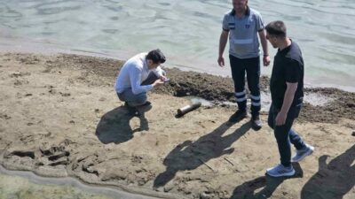 İznik Gölü Orhangazi sahilinde geçtiğimiz cumartesi günü bulunan 1919 yılına
