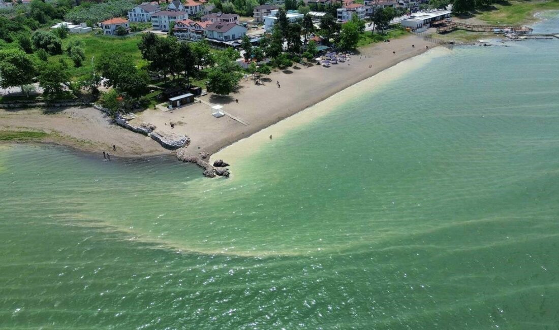 Türkiye’nin en büyük gölleri arasında olan İznik Gölü’nde oluşan kirlilik