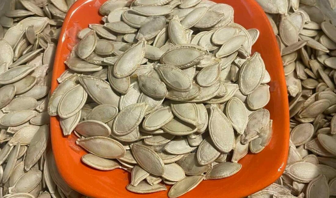 Kabak çekirdeğine “Salmonella”, zencefile “Bacillus cereus” nasıl bulaşıyor Tüketici Konfederasyonu (TÜKONFED) Gıda Güvenliği Denetim Uzmanı Gıda Mühendisi Nurten