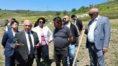 Konaklı Mahallesi’nde 800 zeytin fidanını toprakla buluştu. Nilüfer Belediyesi, tarım