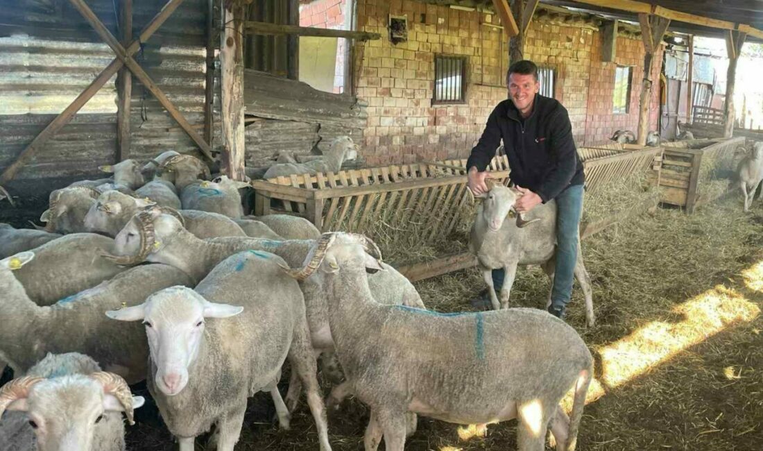 Kurbanlıkları satıp kazancıyla Temmuz ayında evlenecek Bursa’nın Mustafakemalpaşa ilçesinde küçüklüğünden bu yana hayvancılıkla ilgilenen 27 yaşındaki