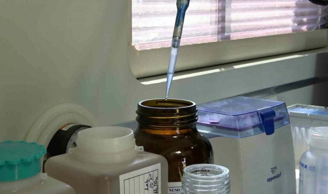 Marmara Denizi için kritik uyarı: Bursa’da 376 sanayi tesisi denetim altında Çevre, Şehircilik ve İklim Değişikliği Bakanlığı, Marmara Denizi’ne kıyısı olan