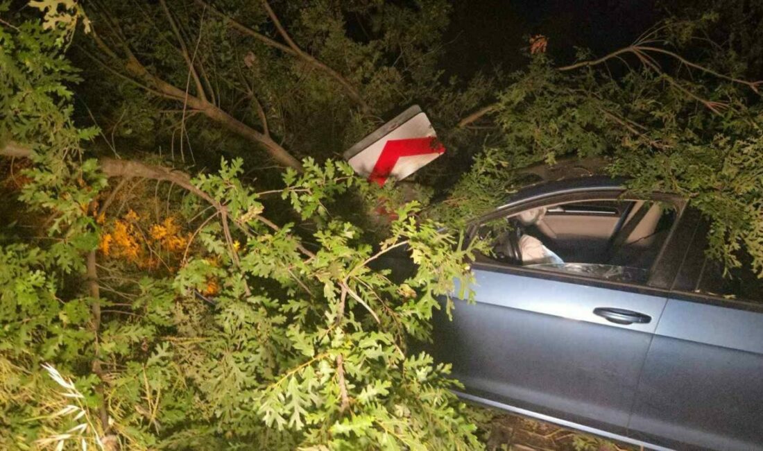 Bursa’nın Orhangazi ilçesinde motosiklet ile otomobil çarpıştı. Yaşanan kazada kontrolden