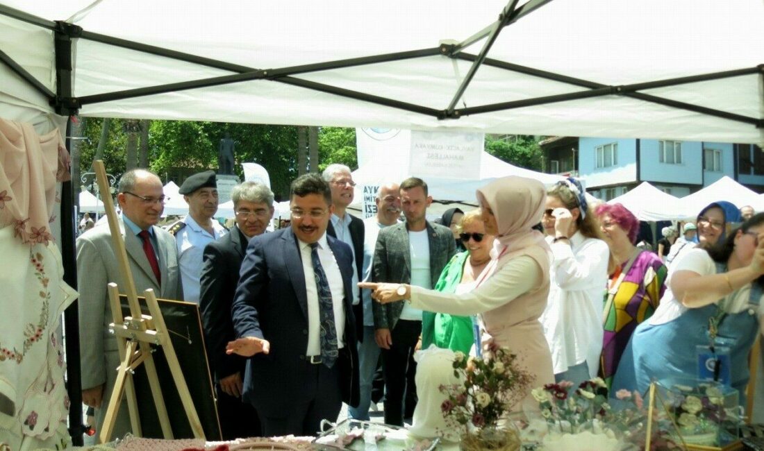 Milli Eğitim Bakanlığı, Hayat Boyu Öğrenme Genel Müdürlüğü’nün, Hayat Boyu