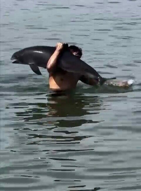 Bursa’nın Mudanya ilçesinde bir vatandaş, ölmüş yunus balığını sırtında taşıdı.