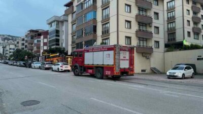 Bursa’nın Kestel ilçesinde park halindeki aracın motor bölümüne giren yavru