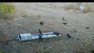 Doğa Koruma ve Milli Parklar 2. Bölge Müdürlüğü tarafından tabiatın