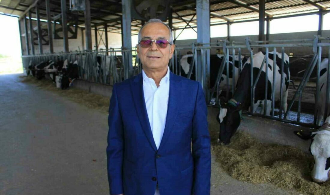 Süt üretiminde fazlalık var, Haziran’da değerlendirme yapılacak Ulusal Süt Konseyi (USK) Başkanı Hamit Can, çiğ süt tavsiye