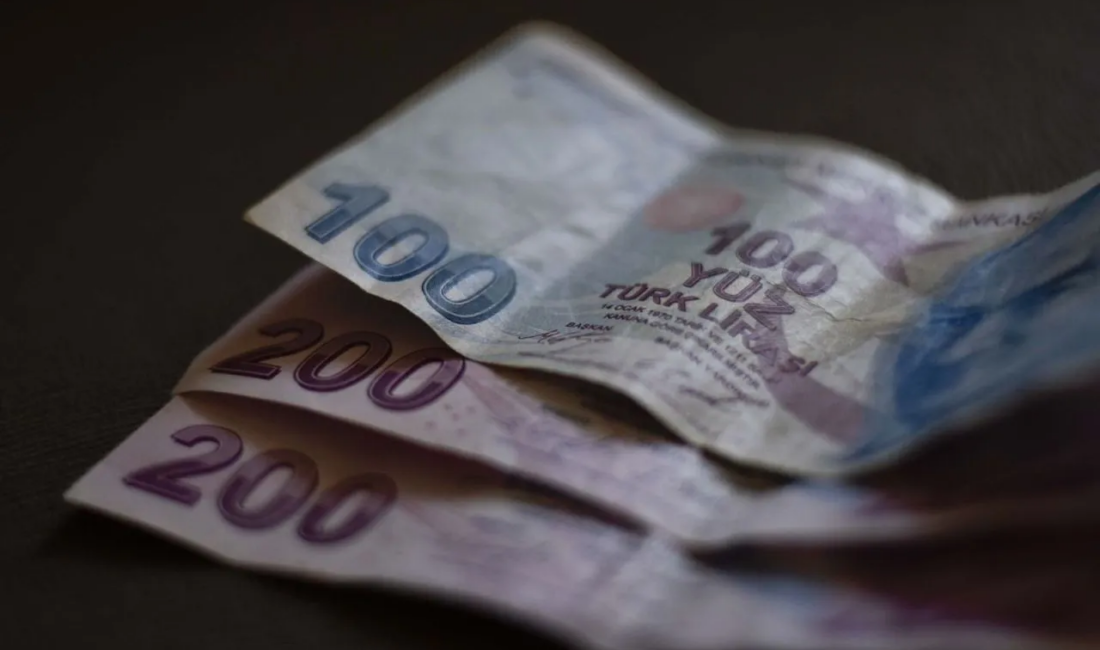 Emekli ve Emekçi Dernekleri Federasyonu (EMED-FED) Başkanı Gönül Boran Özüpak,