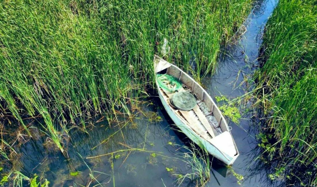 Uluabat Gölü’nde usulsüz su ürünleri ve kara avcılığı yapan 4