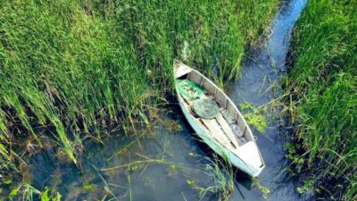 Uluabat Gölü’nde usulsüz su ürünleri ve kara avcılığı yapan 4