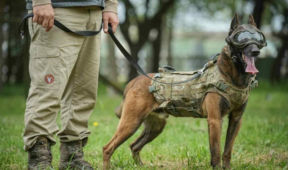 Türk Silahlı Kuvvetleri’ne yurt içi ve sınır ötesi operasyonlarda fayda