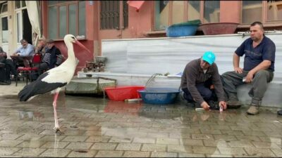 Bursa’nın Nilüfer ilçesine bağlı Fadıllı köyünde, 7 yıldır göç zamanı