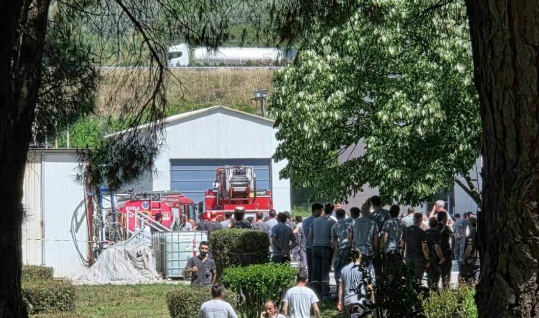 Bursa’nın Orhangazi ilçesinde faaliyet gösteren Sirena Marine yat fabrikasında, kimyasal