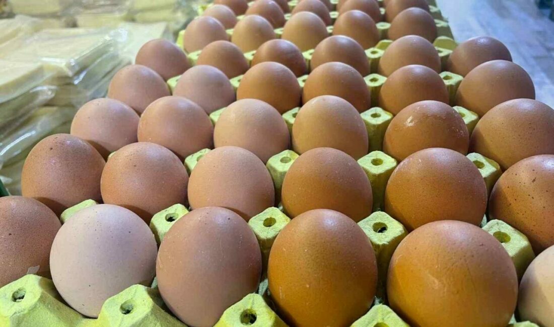 Yumurta kabuğu deyip geçmeyin sanayide çok değerli Yumurta Üreticileri Ürünleri Sanayicileri Derneği (YÜSAD) Başkanı Metin Akman, yumurtanın