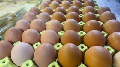 Yumurta Üreticileri Ürünleri Sanayicileri Derneği (YÜSAD) Başkanı Metin Akman, yumurtanın