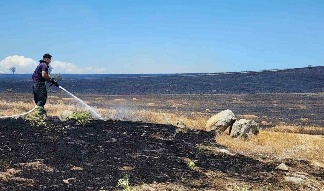 Bursa’nın Mustafakemalpaşa ilçesi Tatkavaklı Mahallesi’nde çıkan yangında 10 bin dönümlük