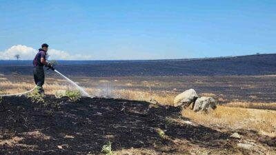 Bursa’nın Mustafakemalpaşa ilçesi Tatkavaklı Mahallesi’nde çıkan yangında 10 bin dönümlük
