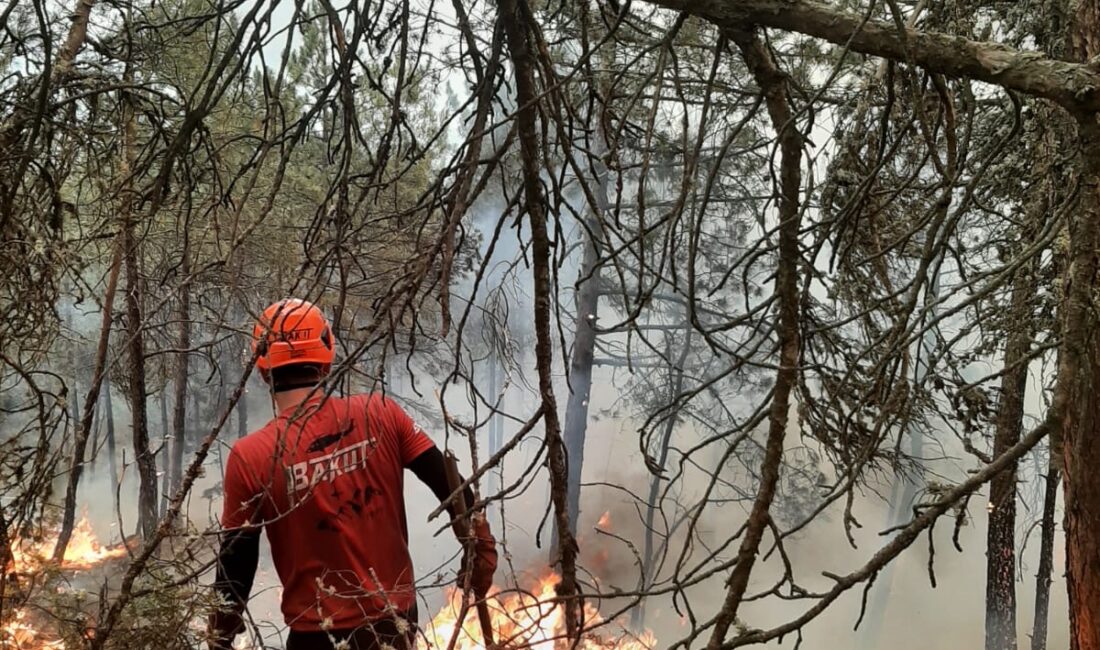 Bilecik’te etkisini sürdüren orman yangınına müdahale devam ederken, Bursa’dan BAKUT