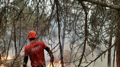 Bilecik’te etkisini sürdüren orman yangınına müdahale devam ederken, Bursa’dan BAKUT