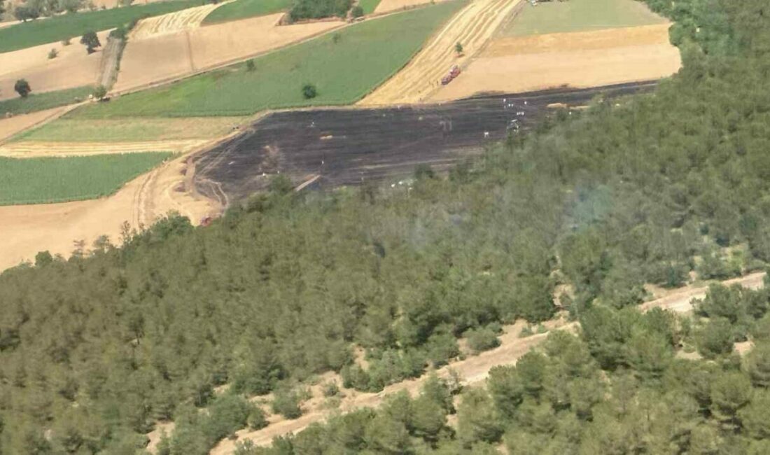 Bursa’nın Yenişehir ilçesinde anızların alev almasıyla 30 dönümlük arazideki buğday