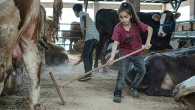 Kurban Bayramı’na sayılı günler kala hayvan pazarları hareketlendi. Muş’tan Bursa