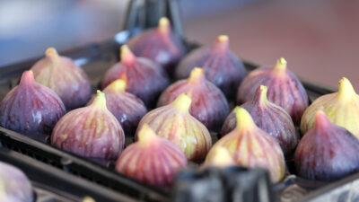Sanayi ve Teknoloji Bakanı Mehmet Fatih Kacır, Afyon pastırmasının, Avrupa