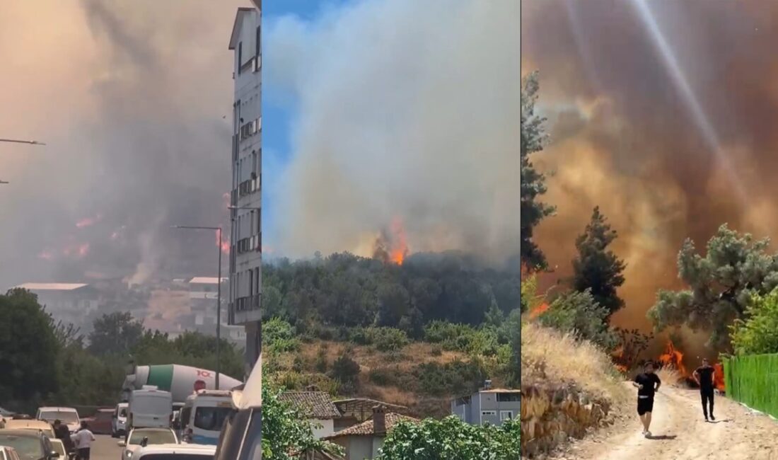 Bursa’nın merkez Osmangazi ilçesine bağlı İsmetiye Mahallesi’nde çıkan orman yangını