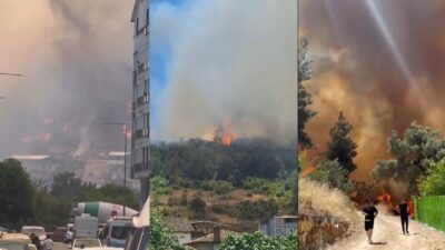 Bursa’nın merkez Osmangazi ilçesine bağlı İsmetiye Mahallesi’nde çıkan orman yangını