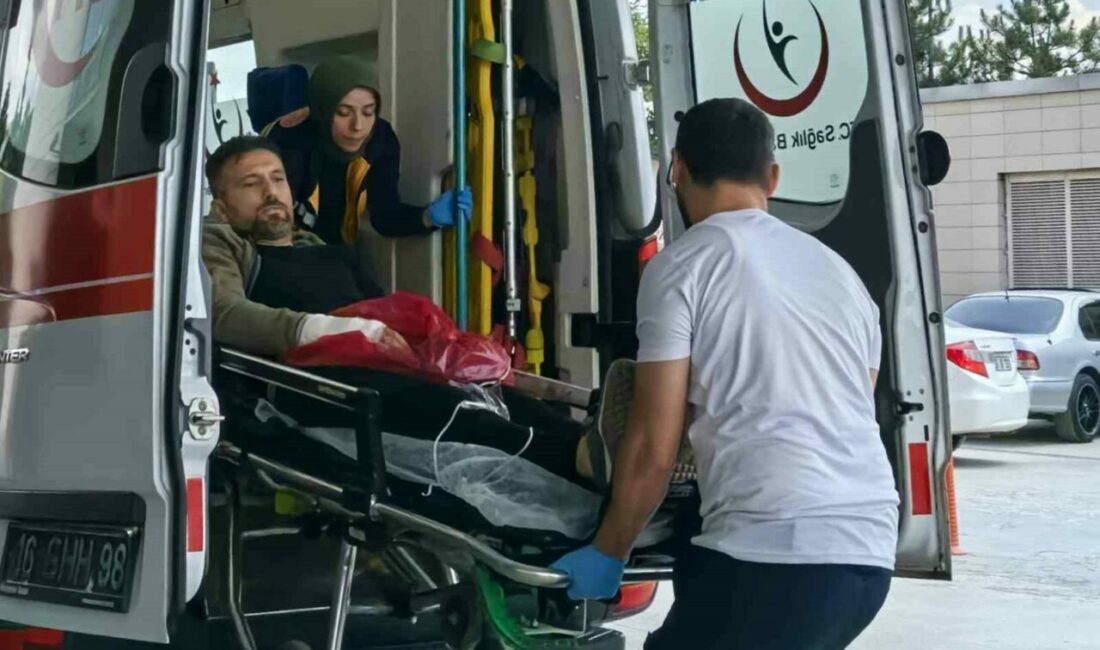 Bursa’nın İnegöl ilçesinde ormanlık alanda ağaç keserken motorlu testere ile