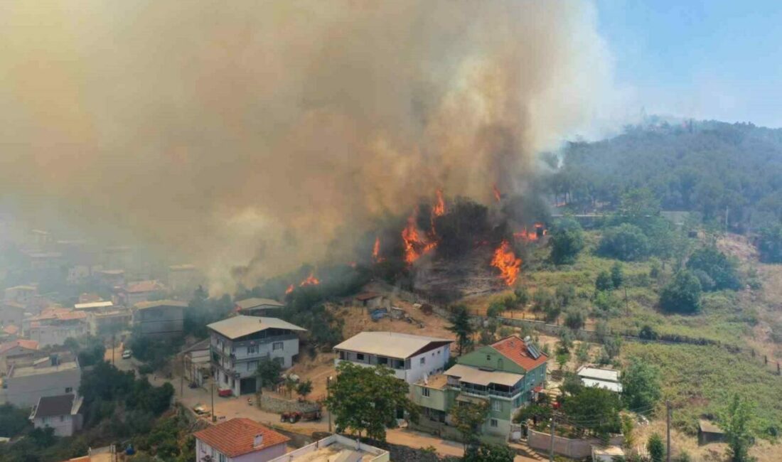 Osmangazi Belediye Başkanı Erkan Aydın, İsmetiye Mahallesi’nde bulunan ormanlık alanda