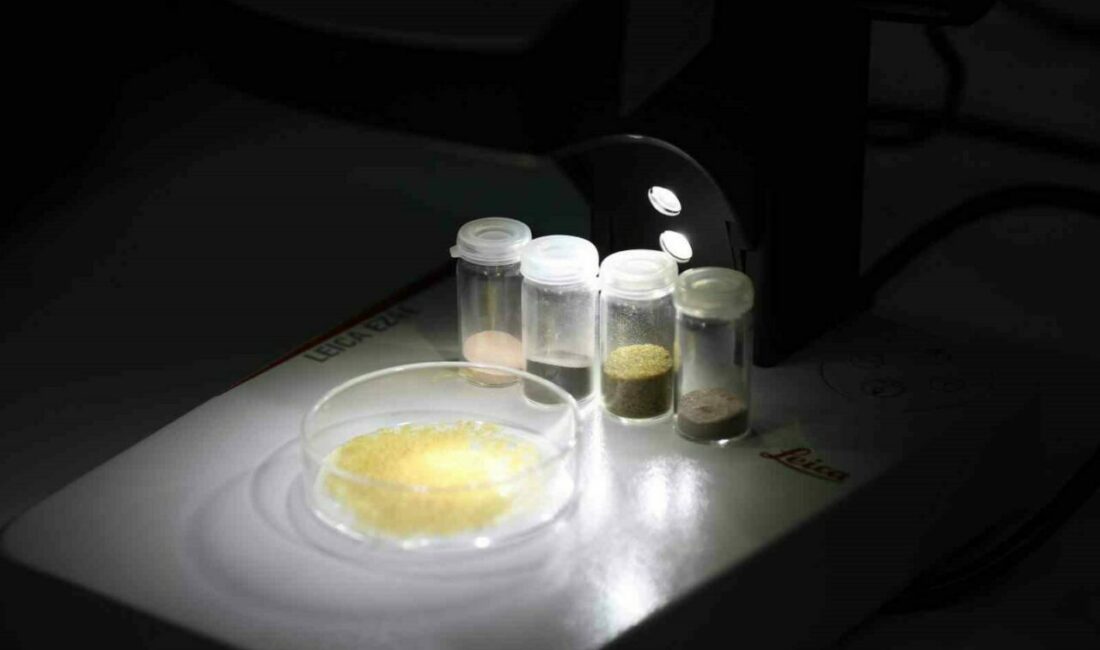 BTÜ’nün projesi hayvansal kaynaklara alternatif kaynak olacak Bursa Teknik Üniversitesinde, gıda endüstrisinin bitkisel kaynaklara yönelmesine öncülük edecek