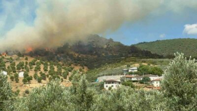 Bursa’nın İznik ilçesine bağlı İnikli Mevkii yakınlarında orman yangını başladı.