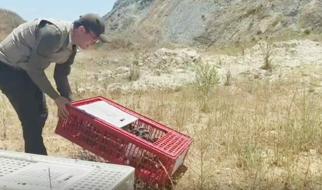 Bursa’nın Mustafakemalpaşa ilçesinde doğaya 100 adet keklik salımı gerçekleştirildi. Doğa